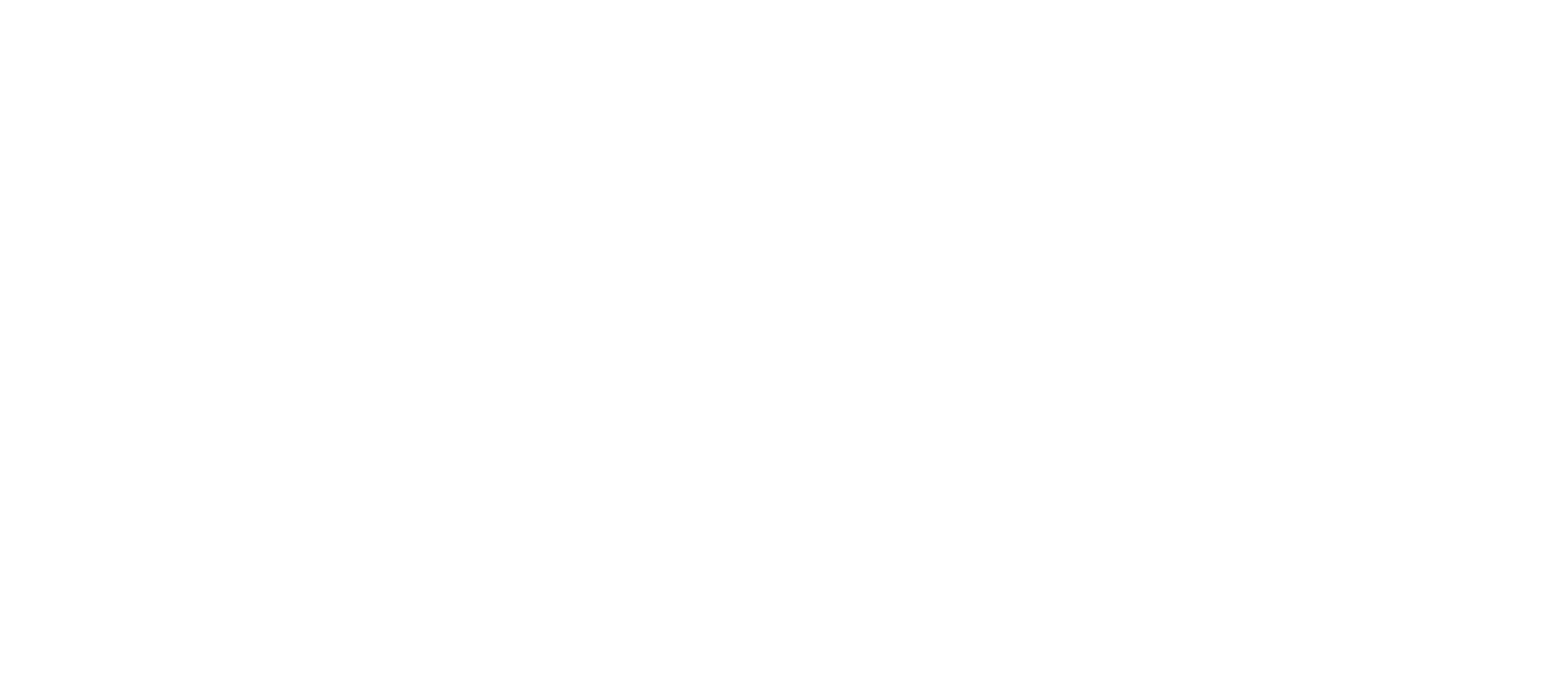 tizora logo in white