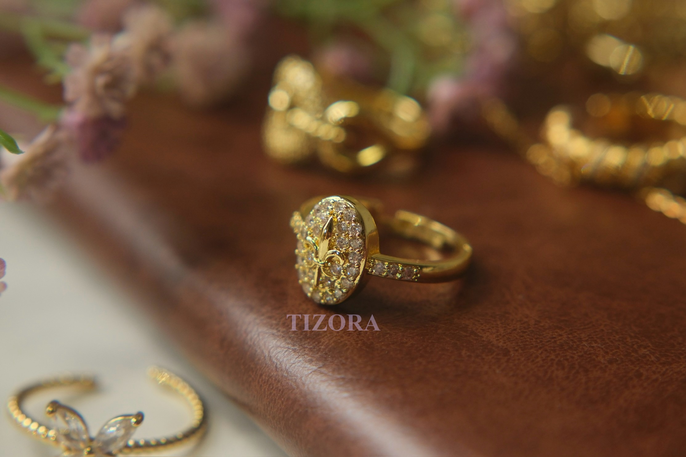 signe ring signe ring