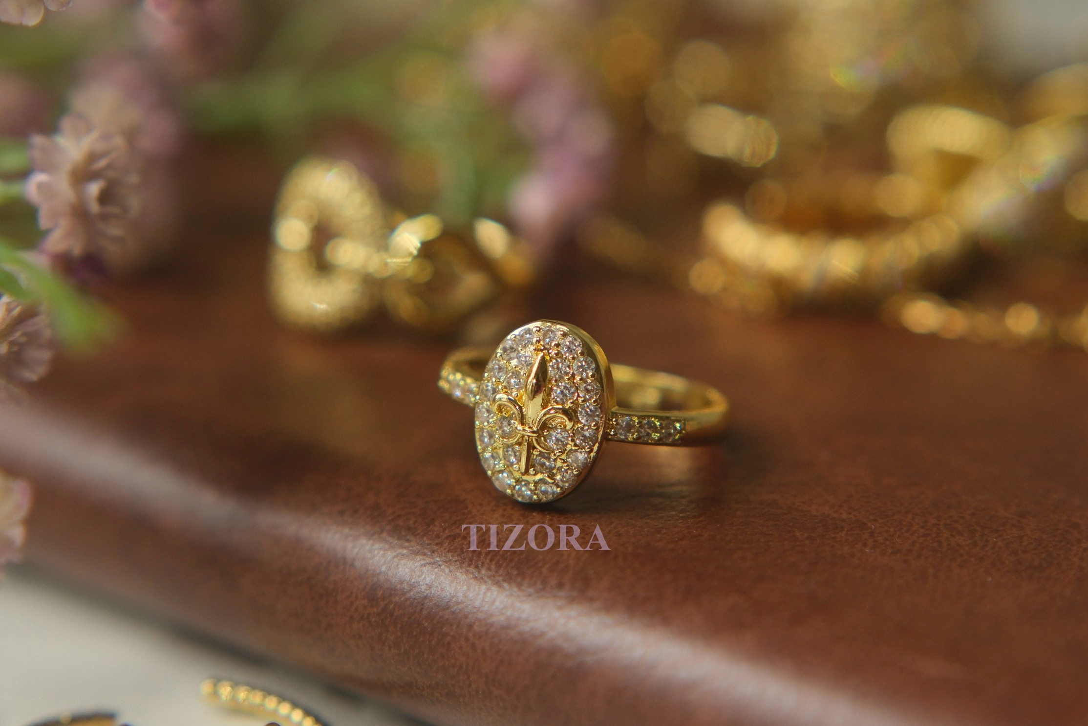signe ring signe ring
