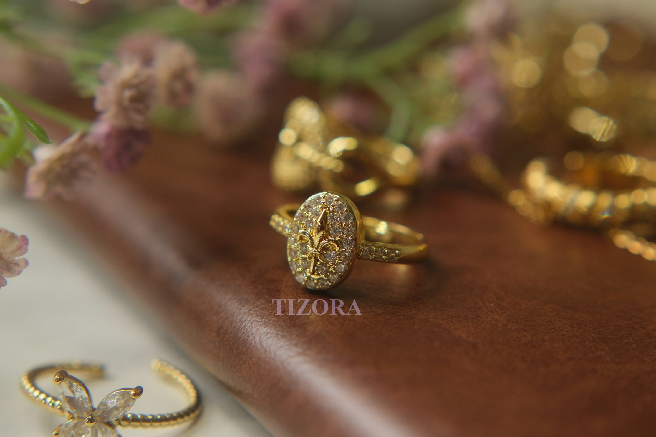 signe ring signe ring